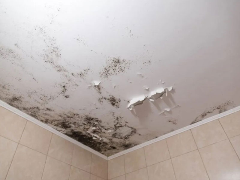 Dấu hiệu nhà cửa đang bị thấm